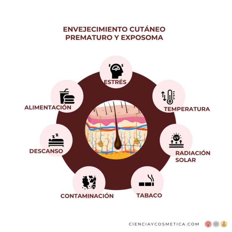 Factores del exposoma
